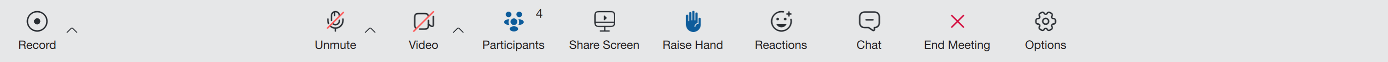 7.0_meeting_toolbar_raise_hand_option_active.png