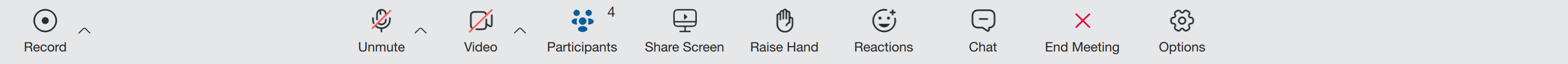 7.0_meeting_toolbar_raise_hand_option_not_active.png
