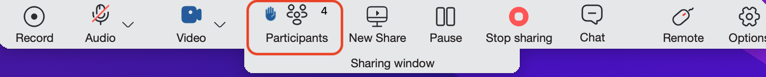 7.0_notification_message_for_raised_hand_in_sharing_window.png