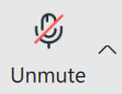 7.3_meeting_mute_icon.png