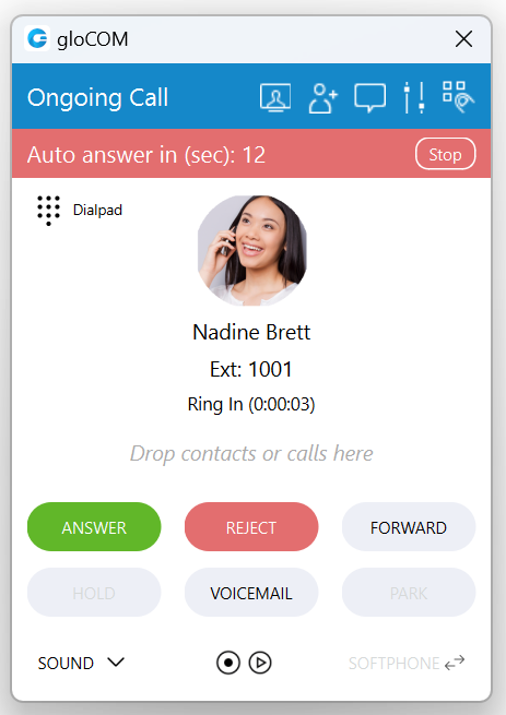 7.3_auto_answer_call_screen.png